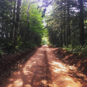 Visit Anne of Green Gables in Prince Edward Island: The Complete Guide to Every Anne Attraction prince edward island red road