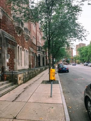 The Best Things to do in New Haven, Connecticut yale street