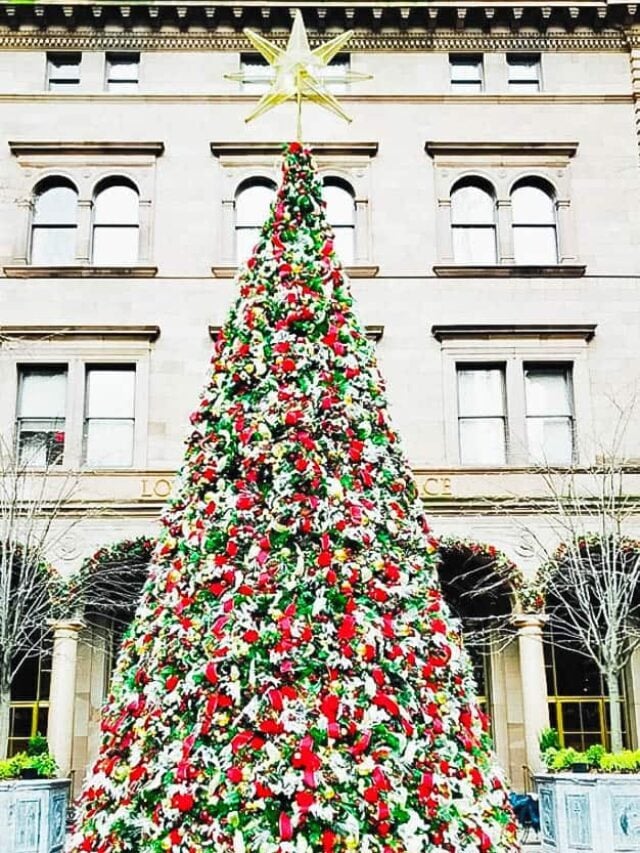 Free NYC Christmas Tree Walking Tour! Travels With The Crew