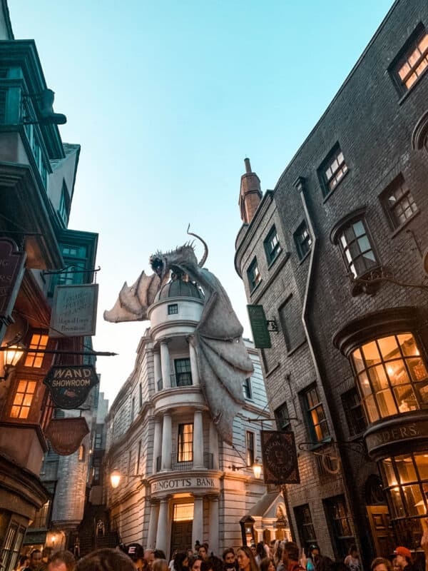 Visiting the Wizarding World of Harry Potter at Universal Orlando harry potter-5159