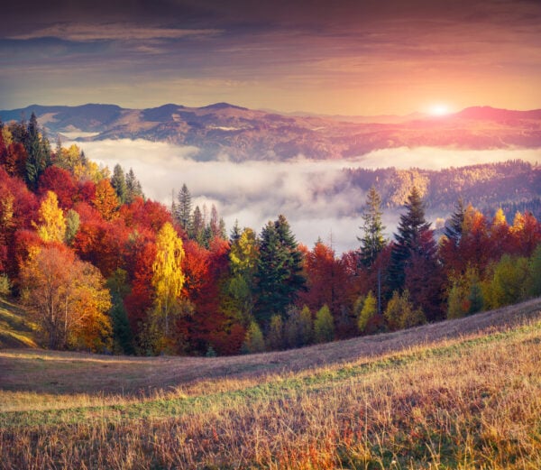 Best Places to Visit in October (2026): Fall Foliage, Warm Weather & Festivals Colorful autumn sunrise in the mountains.