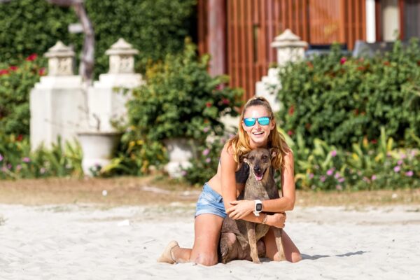 How to Travel With Your Pet International Stays with pet