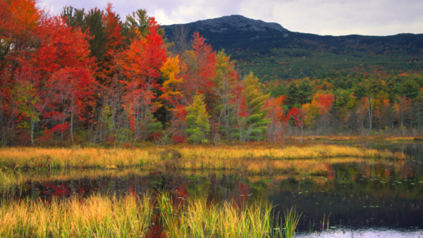 mout monadnock