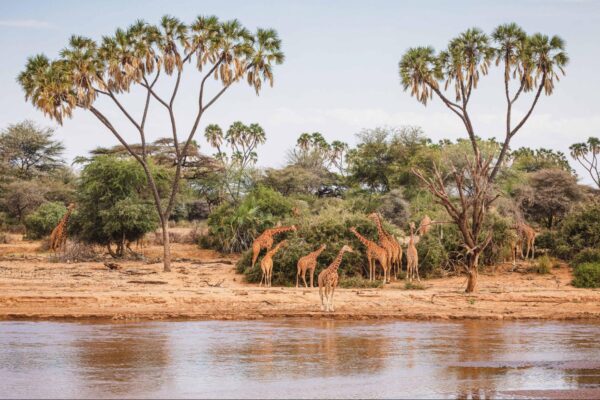 The Best Things to do in Kenya image6kenya